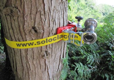 50mm webbing on tree (2)